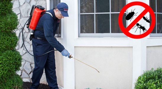 Çaykara Fare İlaçlama böcek ilaçlama ve haşere kontrolü — ilaclama-tr.com